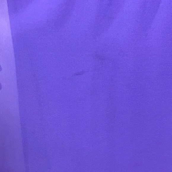 Bill Levkoff Purple Sleeveless Ruched Chiffon Gown With Sheer Neckline & V-Back - Picture 9 of 9